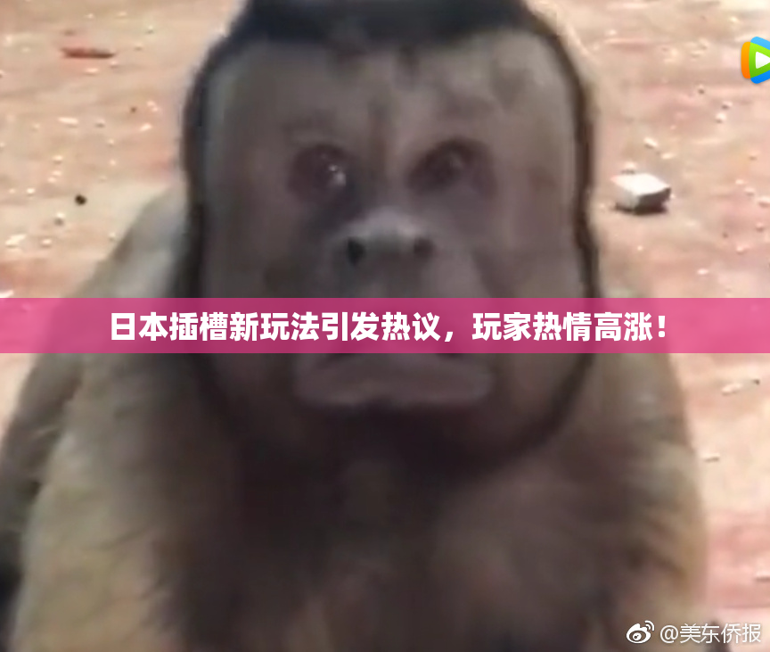 日本插槽新玩法引发热议，玩家热情高涨！