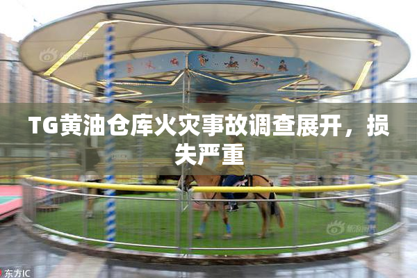 TG黄油仓库火灾事故调查展开，损失严重