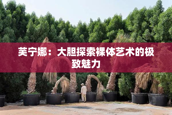 芙宁娜：大胆探索裸体艺术的极致魅力