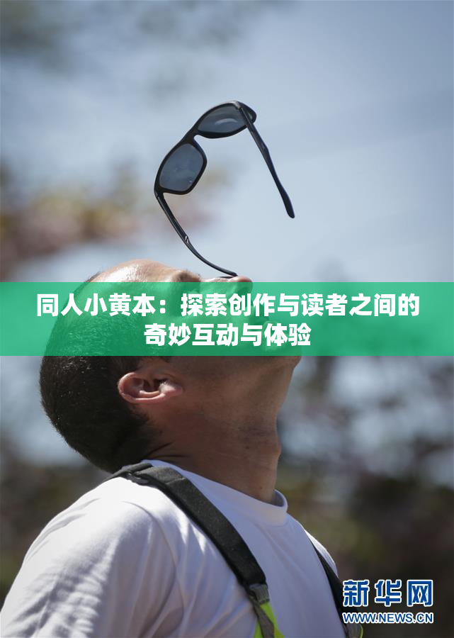 同人小黄本：探索创作与读者之间的奇妙互动与体验