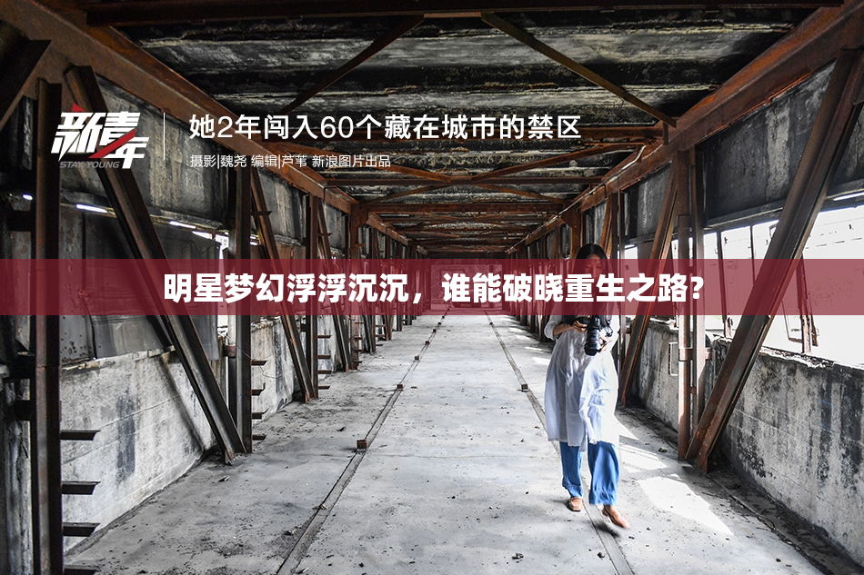 明星梦幻浮浮沉沉，谁能破晓重生之路？