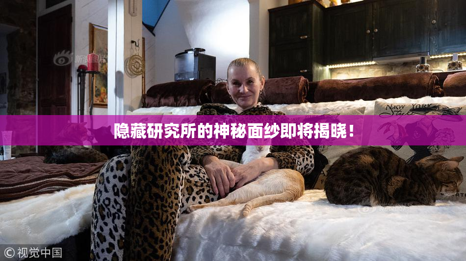 隐藏研究所的神秘面纱即将揭晓！