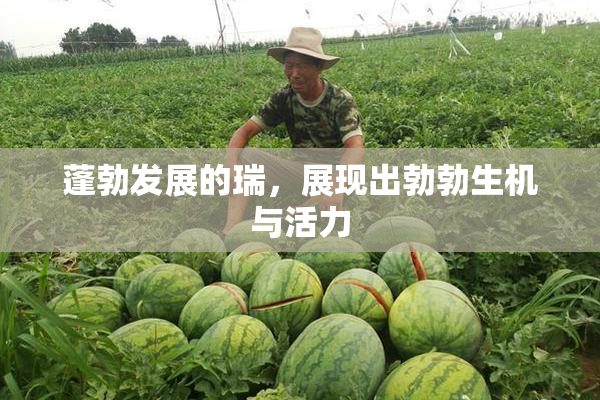 蓬勃发展的瑞，展现出勃勃生机与活力
