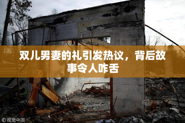 双儿男妻的礼引发热议，背后故事令人咋舌