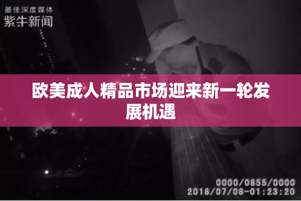 欧美成人精品市场迎来新一轮发展机遇