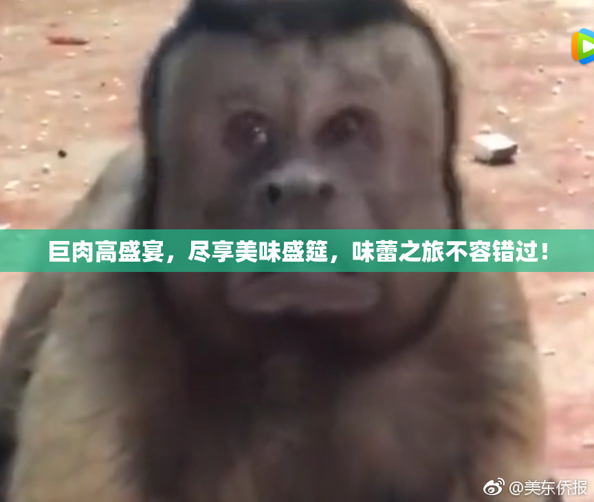 巨肉高盛宴，尽享美味盛筵，味蕾之旅不容错过！