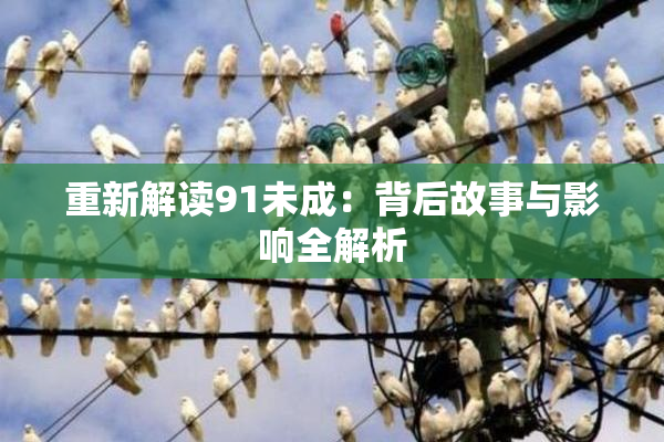 重新解读91未成：背后故事与影响全解析