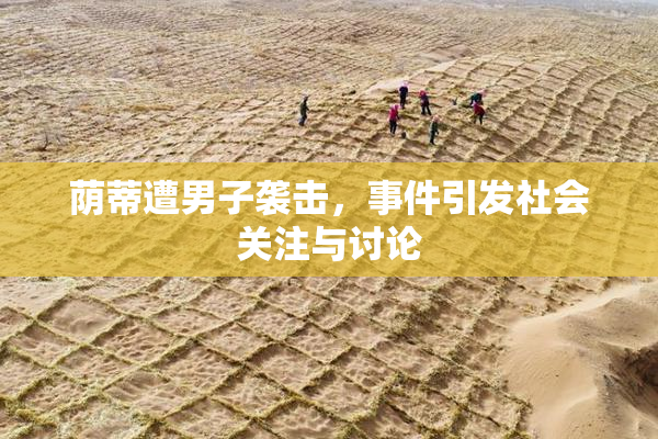 荫蒂遭男子袭击，事件引发社会关注与讨论