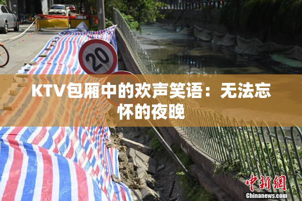 KTV包厢中的欢声笑语：无法忘怀的夜晚