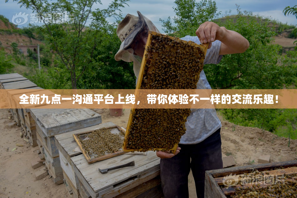 全新九点一沟通平台上线，带你体验不一样的交流乐趣！