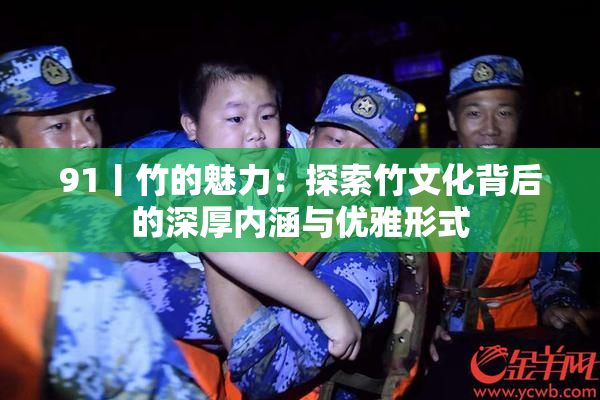 91丨竹的魅力：探索竹文化背后的深厚内涵与优雅形式