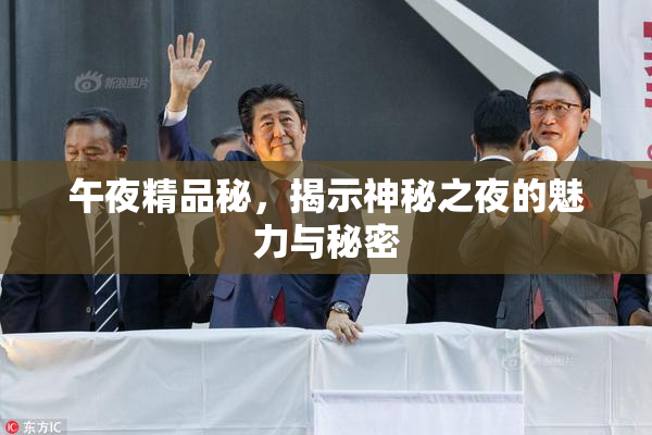 午夜精品秘，揭示神秘之夜的魅力与秘密