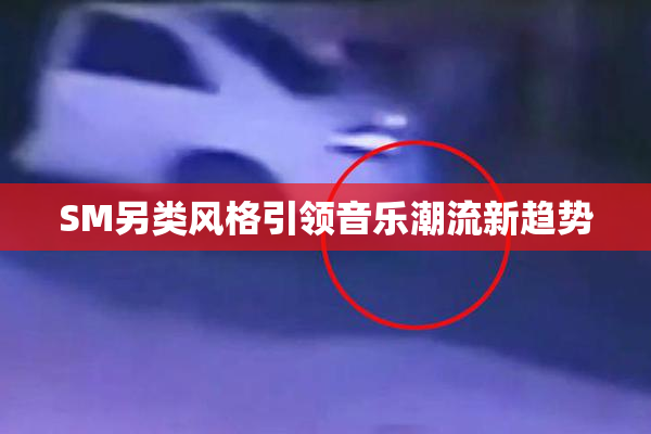 SM另类风格引领音乐潮流新趋势