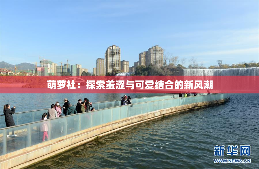 萌萝社：探索羞涩与可爱结合的新风潮