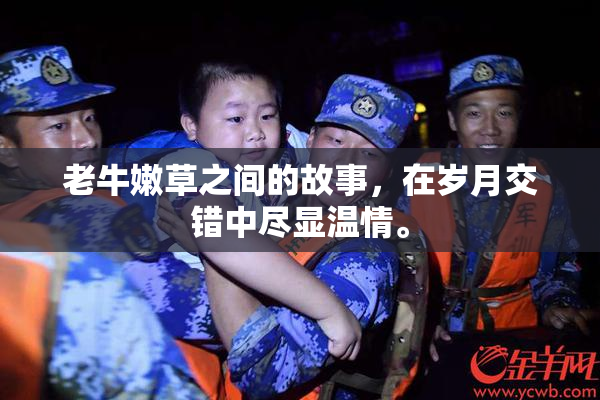 老牛嫩草之间的故事，在岁月交错中尽显温情。