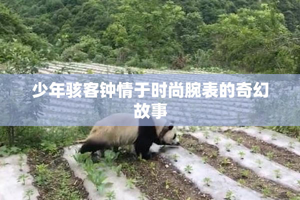 少年骇客钟情于时尚腕表的奇幻故事