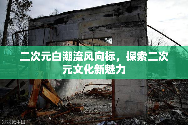 二次元白潮流风向标，探索二次元文化新魅力