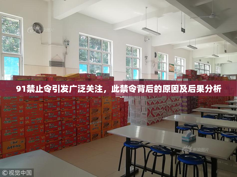 91禁止令引发广泛关注，此禁令背后的原因及后果分析