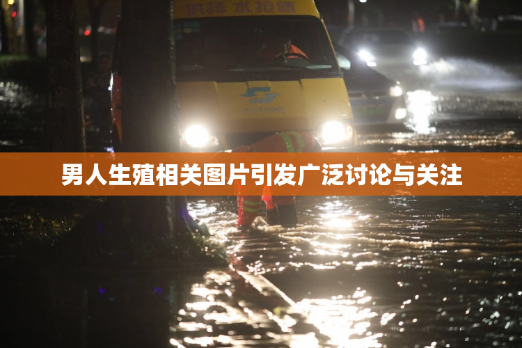 男人生殖相关图片引发广泛讨论与关注