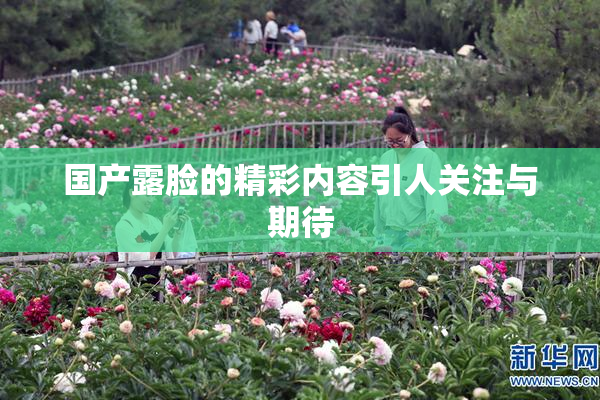 国产露脸的精彩内容引人关注与期待