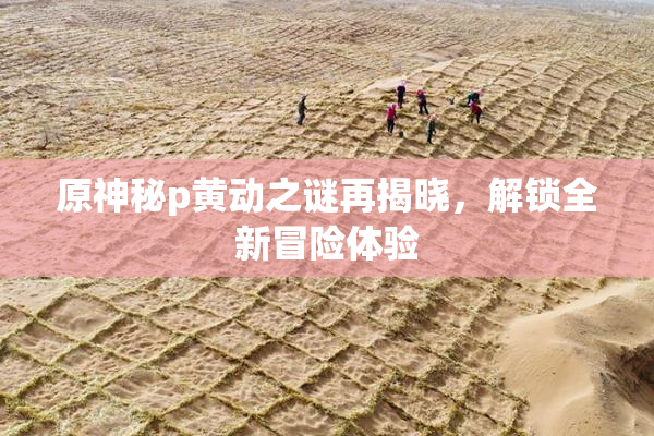 原神秘p黄动之谜再揭晓，解锁全新冒险体验