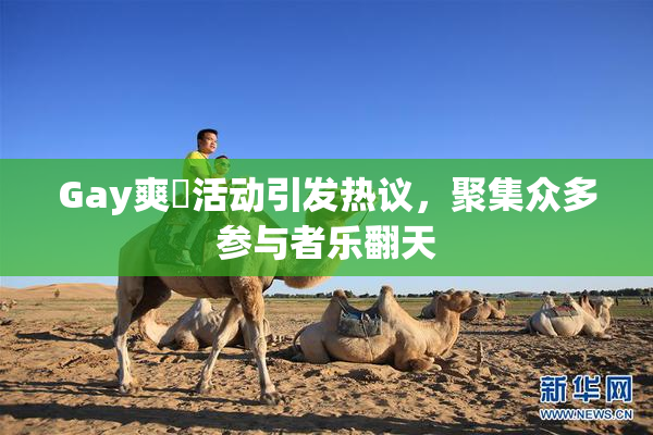 Gay爽擼活动引发热议，聚集众多参与者乐翻天