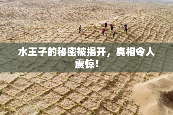水王子的秘密被揭开，真相令人震惊！