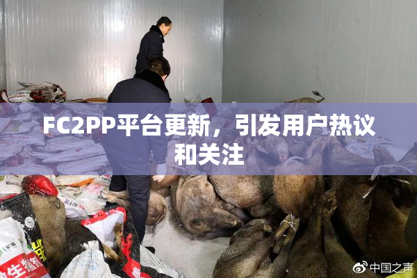 FC2PP平台更新，引发用户热议和关注