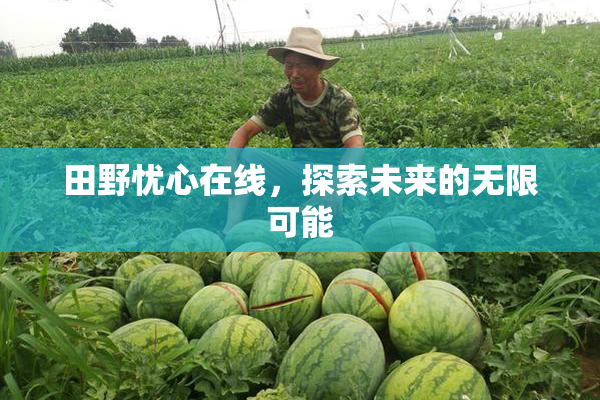 田野忧心在线，探索未来的无限可能