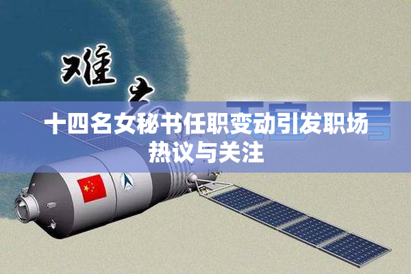 十四名女秘书任职变动引发职场热议与关注