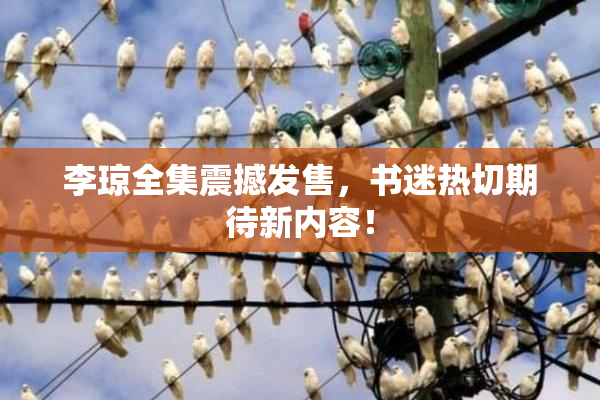 李琼全集震撼发售，书迷热切期待新内容！