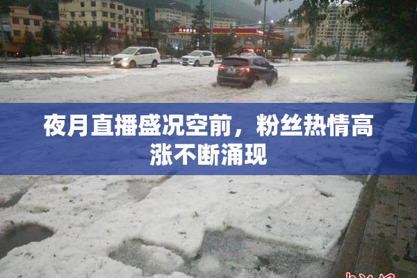 夜月直播盛况空前，粉丝热情高涨不断涌现