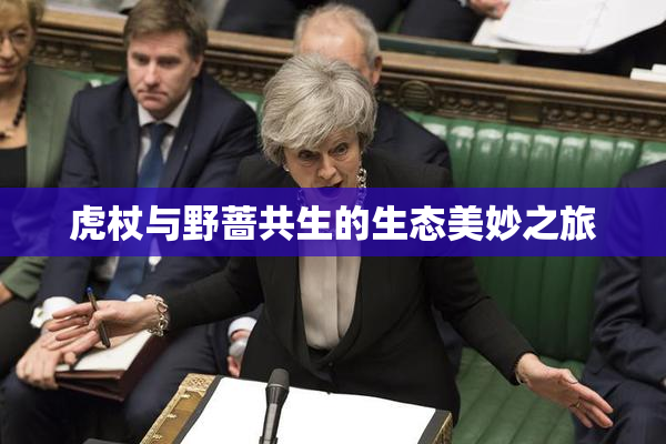 虎杖与野蔷共生的生态美妙之旅