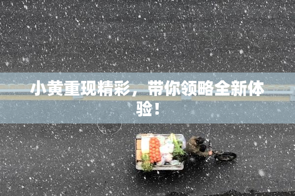 小黄重现精彩，带你领略全新体验！
