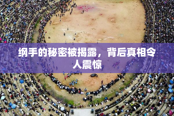 纲手的秘密被揭露，背后真相令人震惊