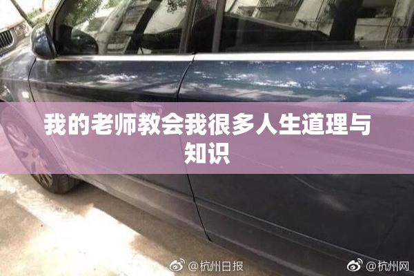 我的老师教会我很多人生道理与知识