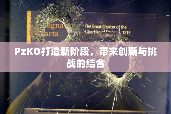 PzKO打造新阶段，带来创新与挑战的结合