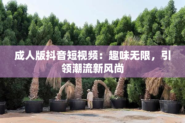 成人版抖音短视频：趣味无限，引领潮流新风尚