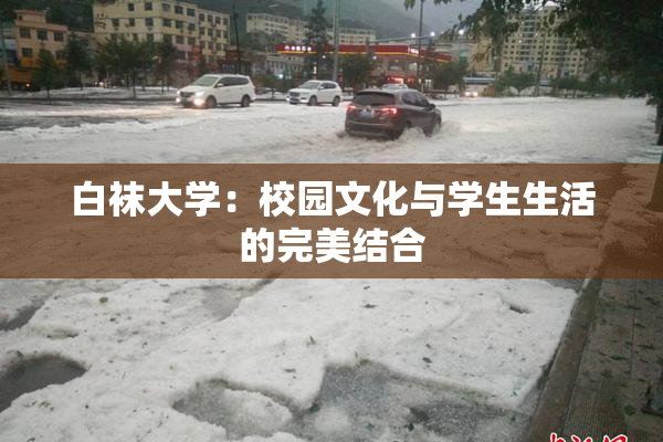 白袜大学：校园文化与学生生活的完美结合