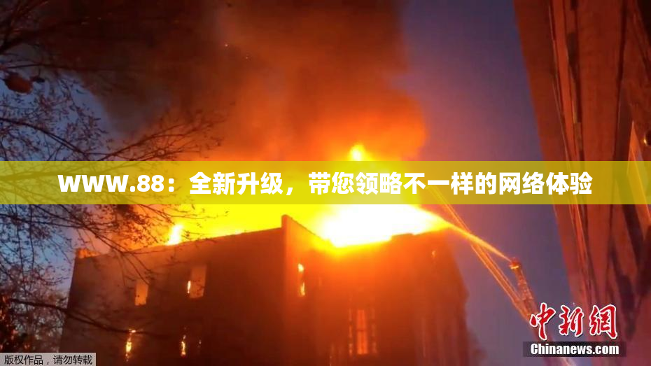 WWW.88：全新升级，带您领略不一样的网络体验