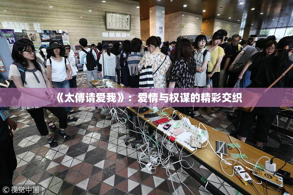 《太傅请爱我》：爱情与权谋的精彩交织