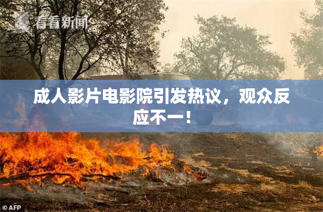 成人影片电影院引发热议，观众反应不一！