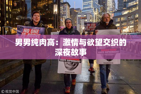 男男纯肉高：激情与欲望交织的深夜故事