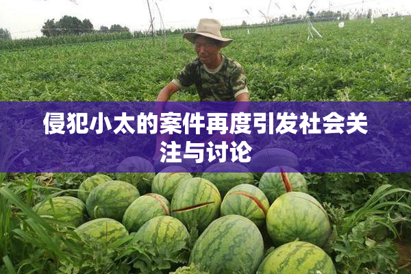 侵犯小太的案件再度引发社会关注与讨论