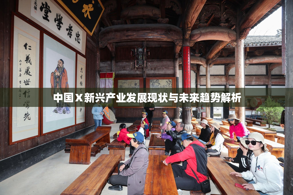 中国Ⅹ新兴产业发展现状与未来趋势解析