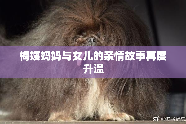 梅姨妈妈与女儿的亲情故事再度升温