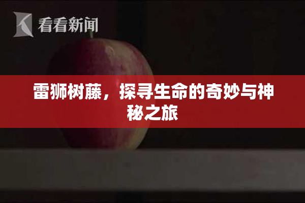 雷狮树藤，探寻生命的奇妙与神秘之旅