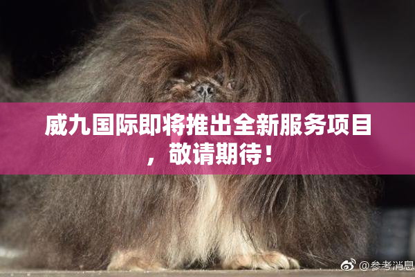 威九国际即将推出全新服务项目，敬请期待！