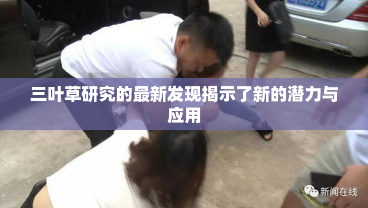 三叶草研究的最新发现揭示了新的潜力与应用