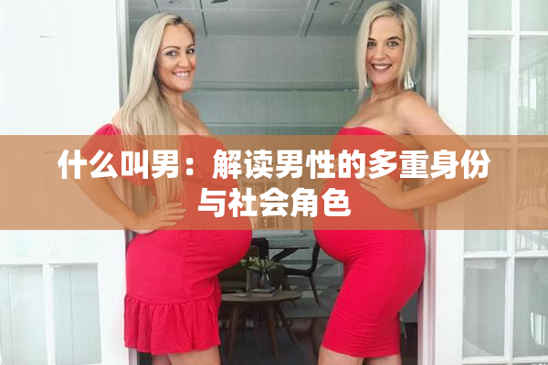 什么叫男：解读男性的多重身份与社会角色